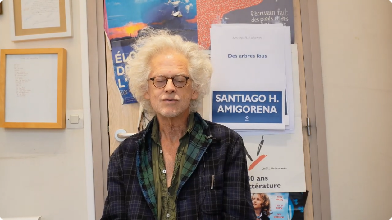 Santiago H. Amigorena,Des arbres fous (Santiago H. Amigorena  Des arbres fous)